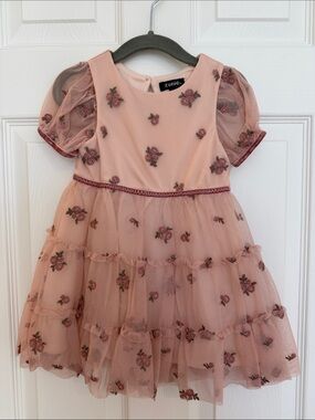Zunie Blush Pink Embroidered Rose Tulle Dress for Girls